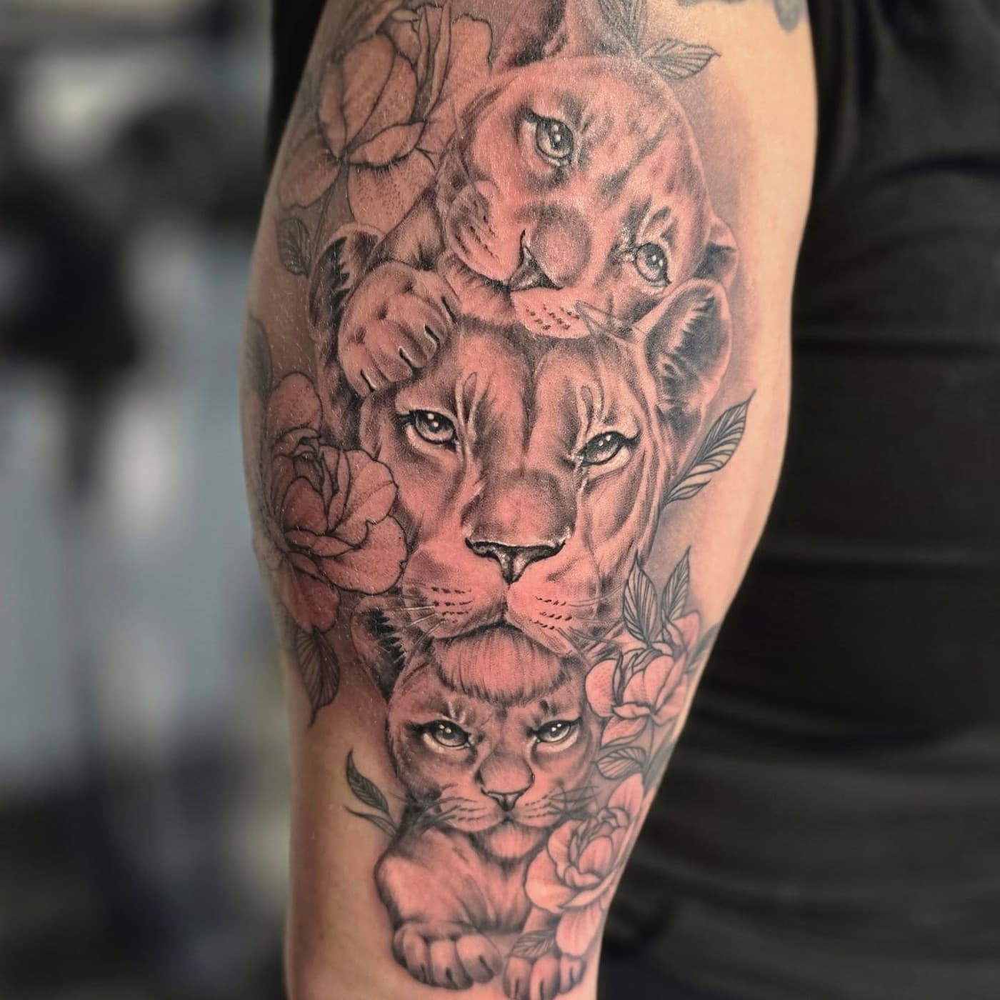 Lioness with two cubs and roses, close in on the upper arm