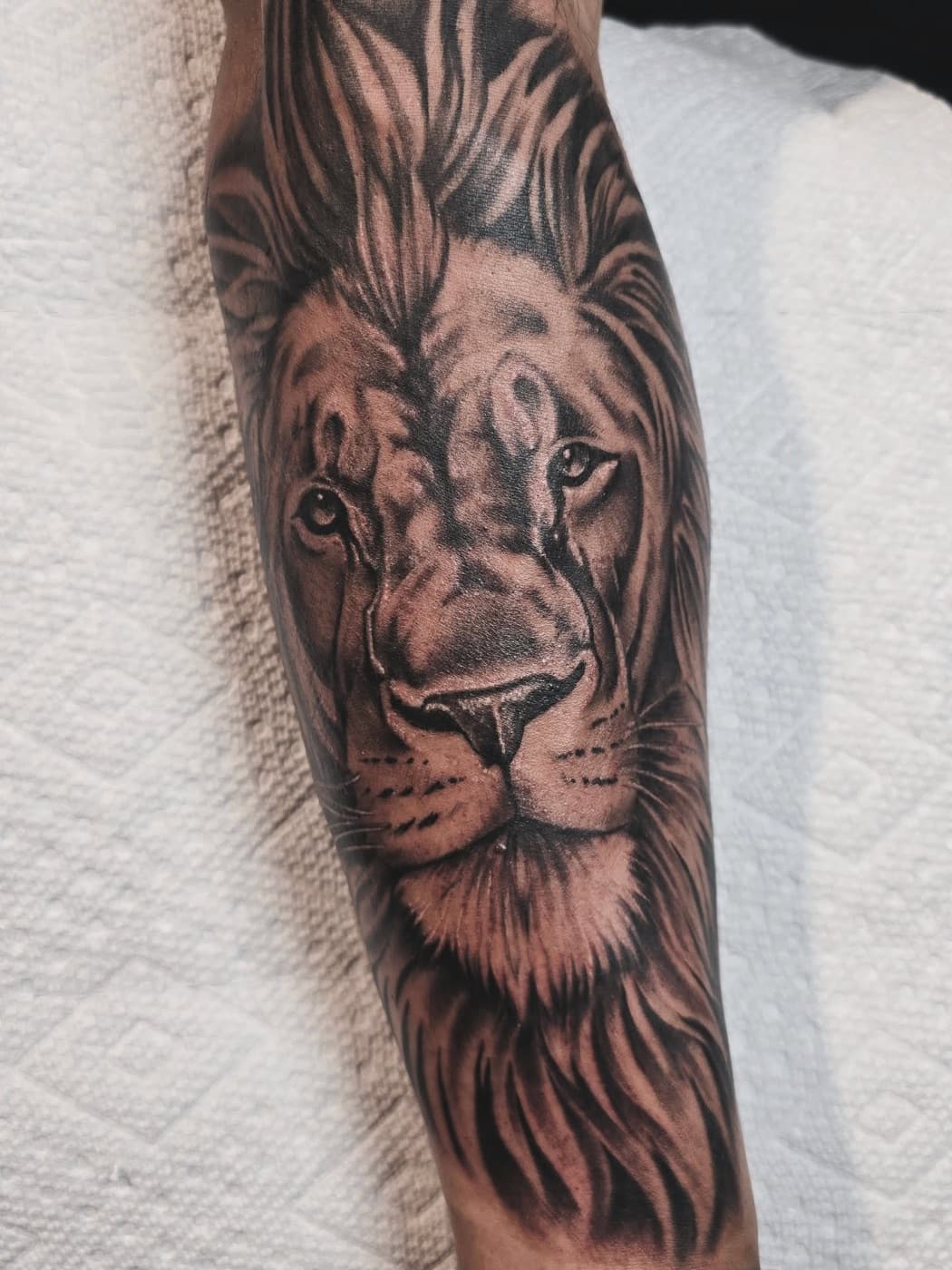 Lion portrait in black and grey, mane filling a forearm
