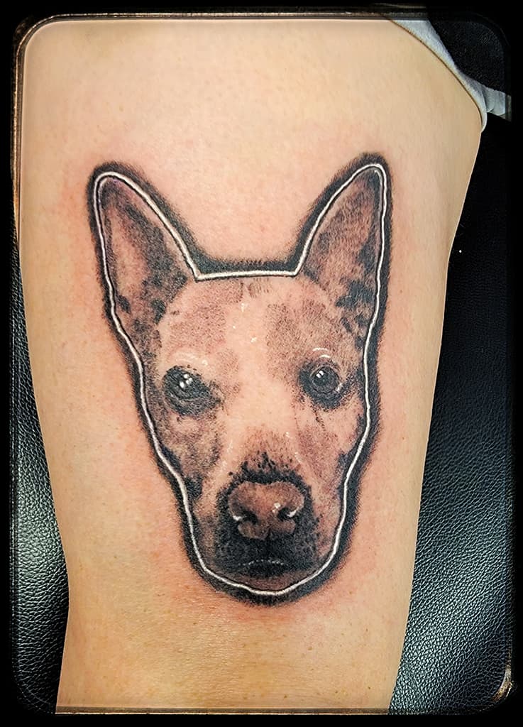 Realistic portrait of a short-haired dog with upright ears, black and grey with a white outline