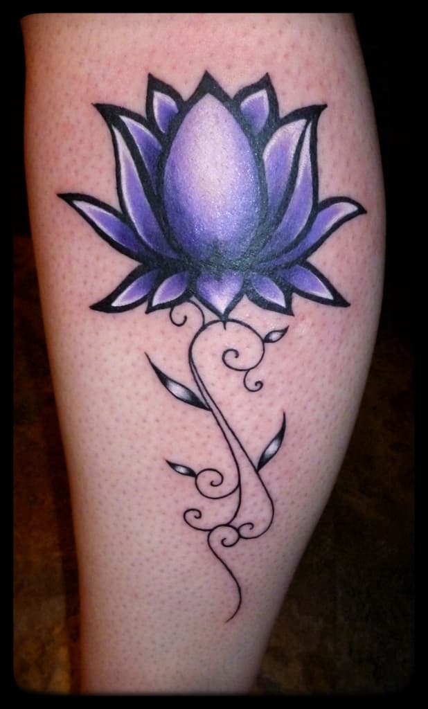 Purple lotus flower on a curling black vine stem with small leaves, colour on the calf
