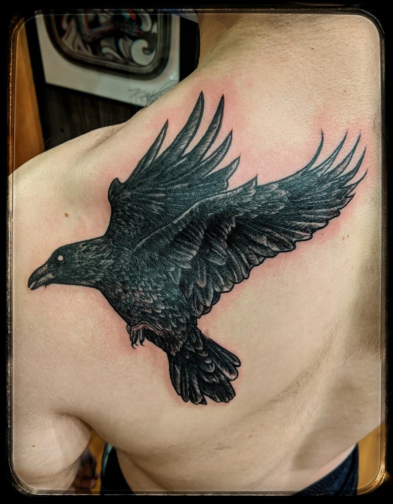 Raven in flight with wings spread and claws out, black and grey on the shoulder blade